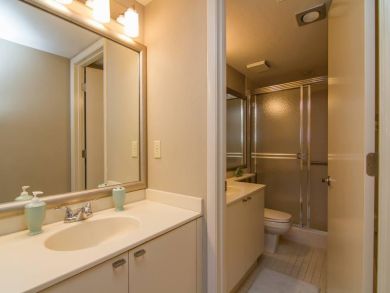 Guest bathroom